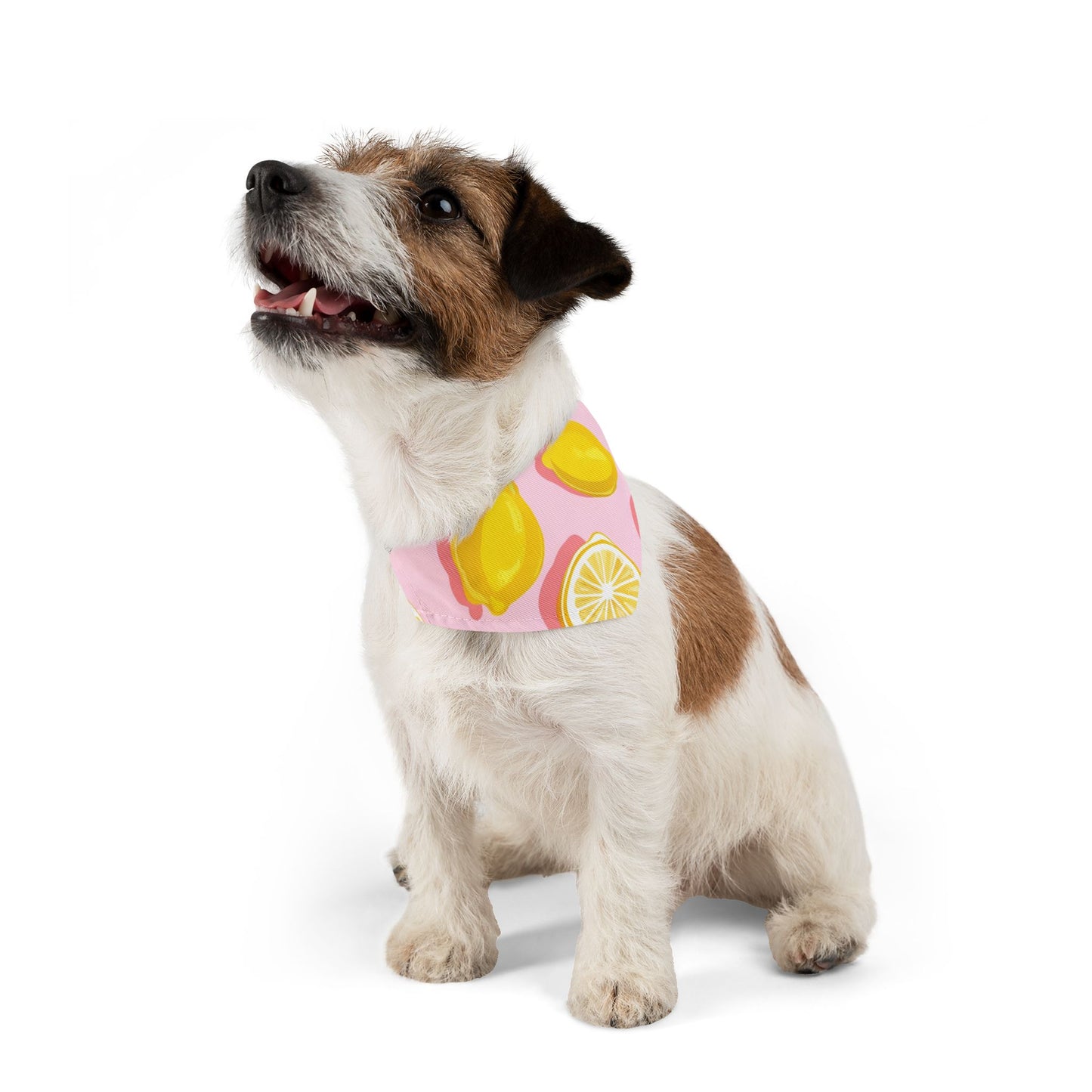 Collier bandana pour animaux - Citrons