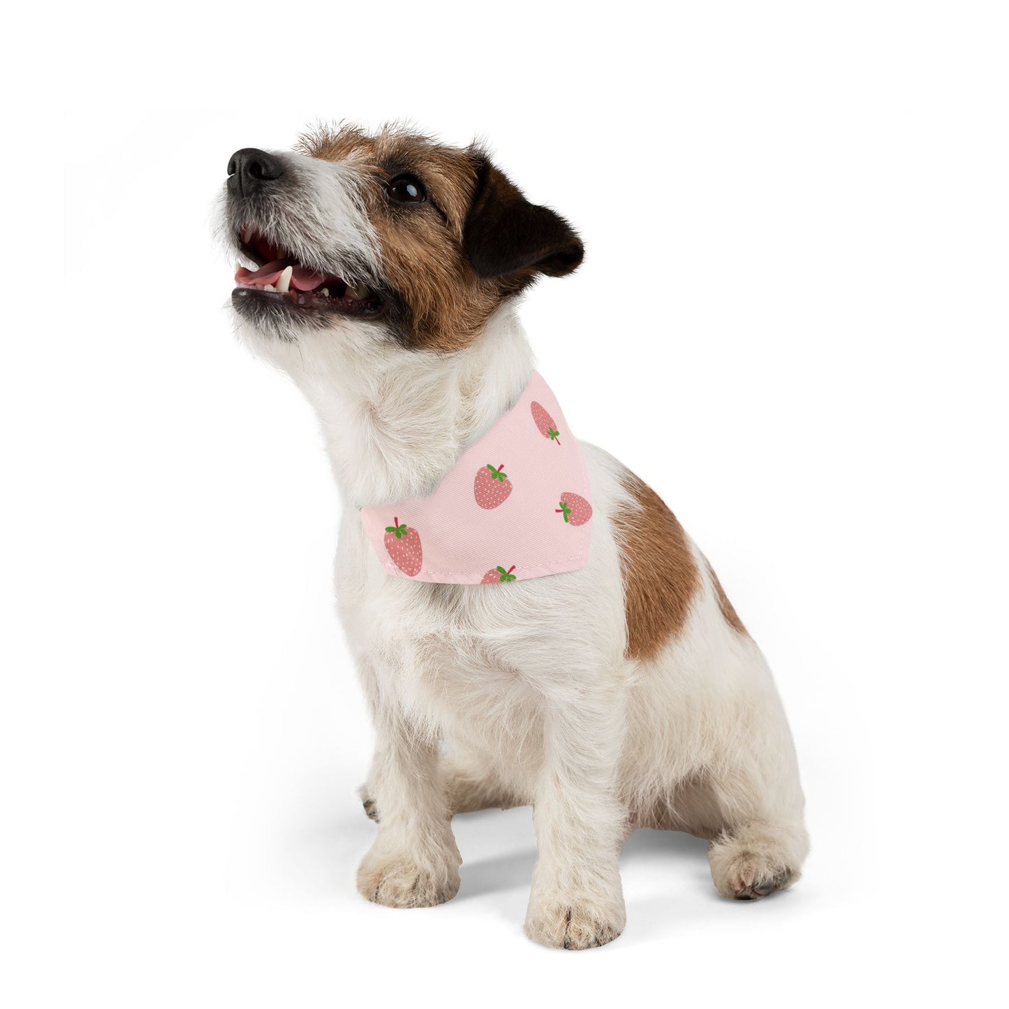 Collier bandana pour animaux - Fraises