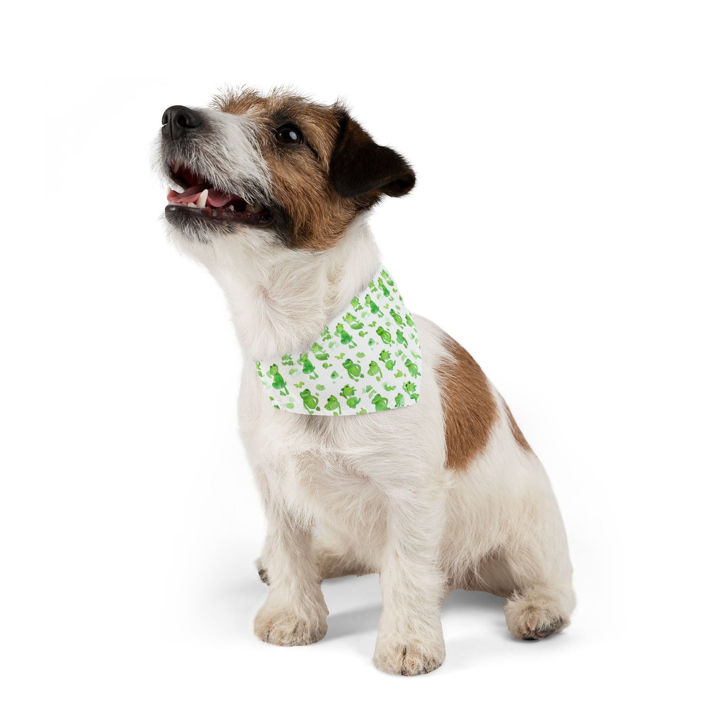 Collier bandana pour animaux - Grenouilles