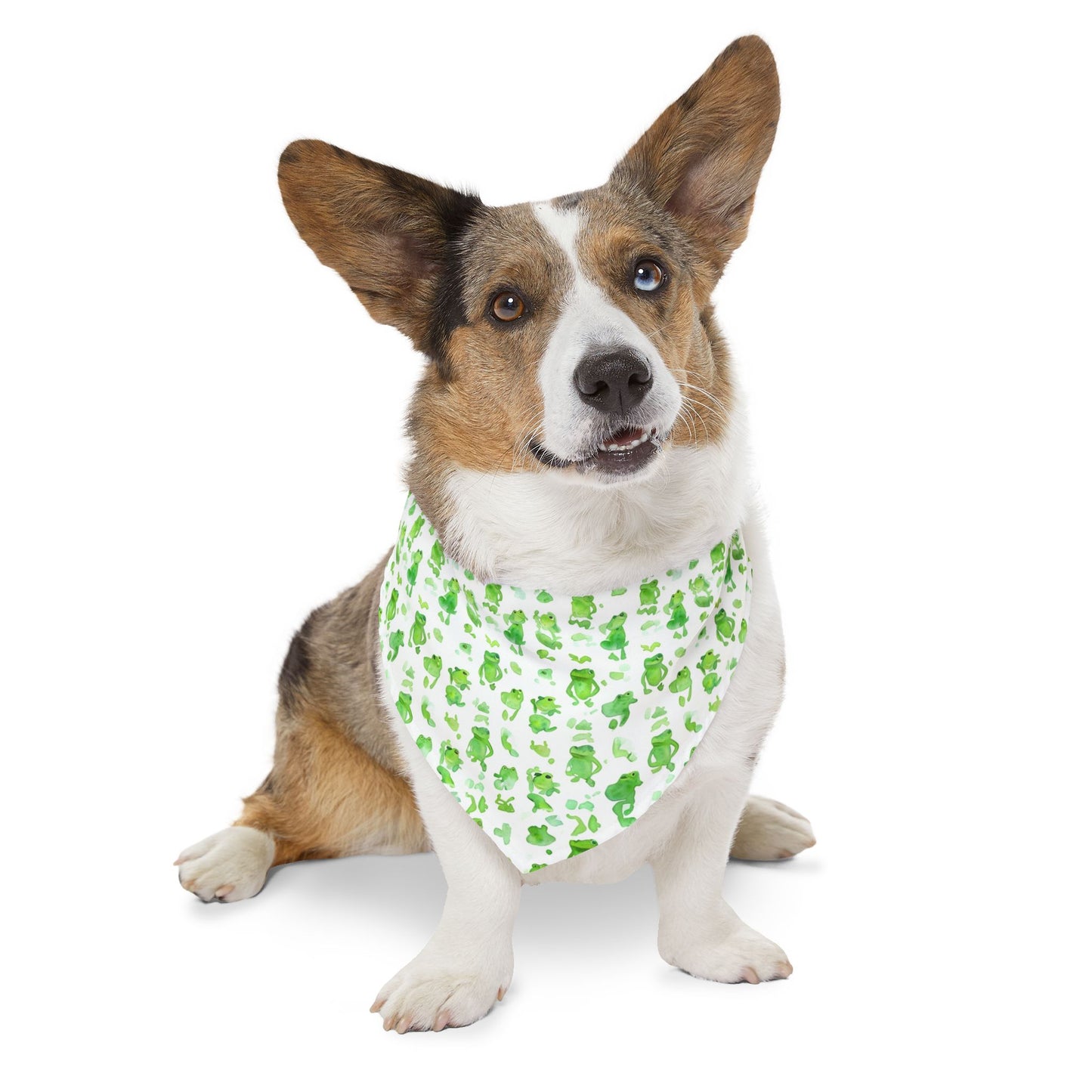 Collier bandana pour animaux - Grenouilles