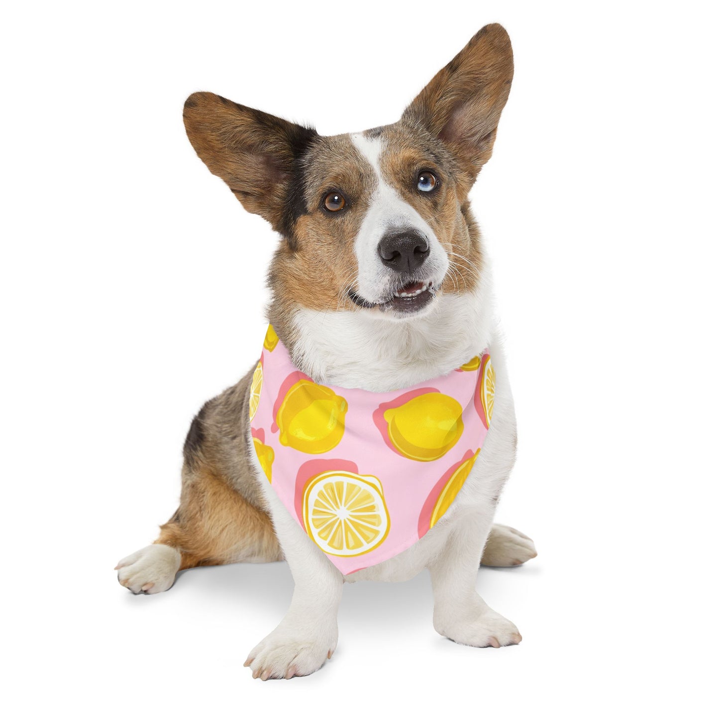 Collier bandana pour animaux - Citrons